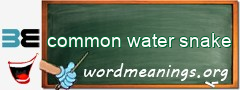WordMeaning blackboard for common water snake